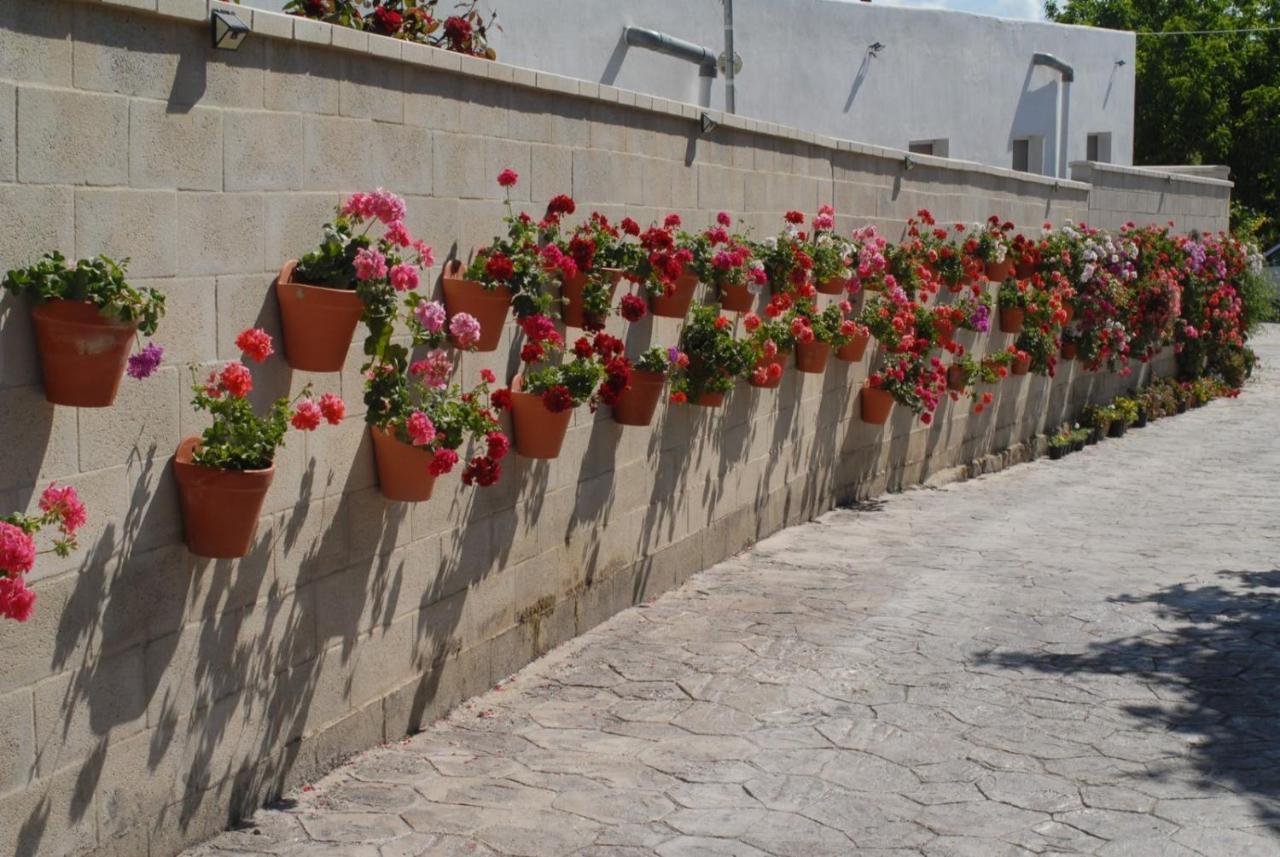 Pueblos Blancos Vejer de la Frontera Exterior foto